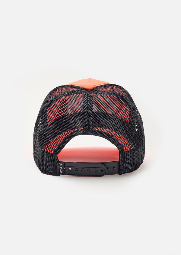 Mesh arrière
