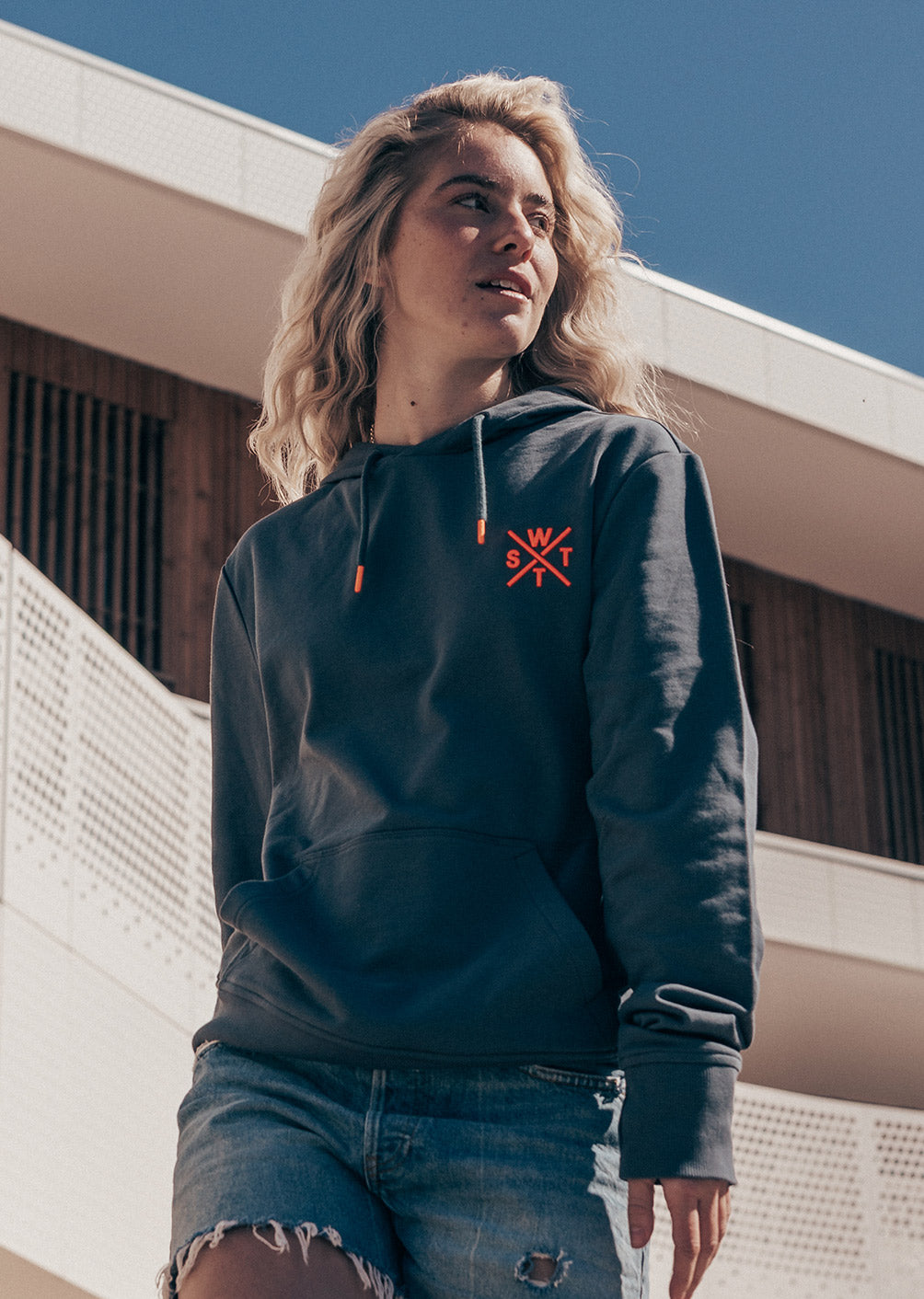 Sweat Hoodie Sprays - Gris